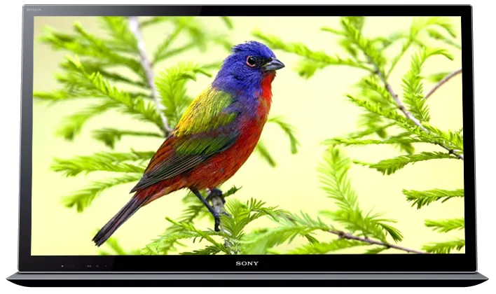 Ремонт цепи питания Sony KDL-55HX853