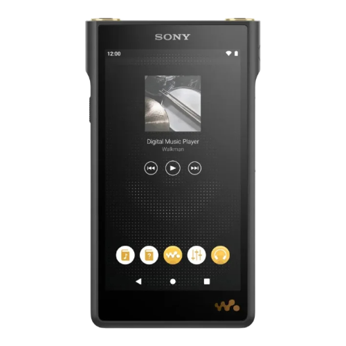 Замена аккумулятора Sony NW-WM1AM2 Black